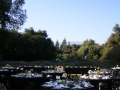 botanic-garden-0053-jpg